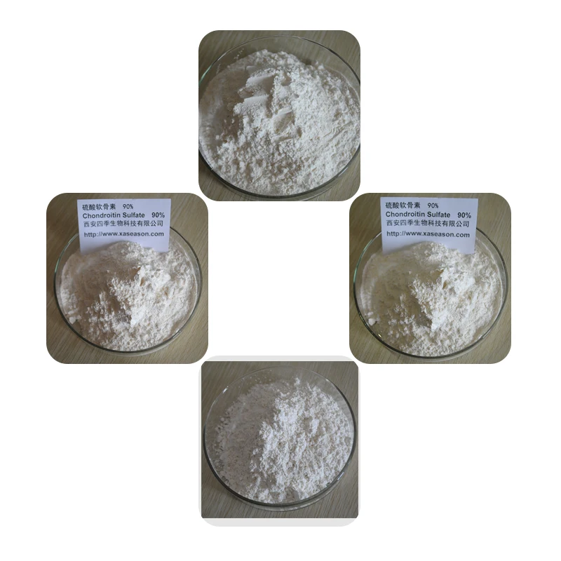 chondroitin sulfate (11).jpg