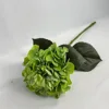 Pellicola da 50 cm, colore autunnale, grande ortensia verde