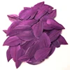 Deep PURPLE