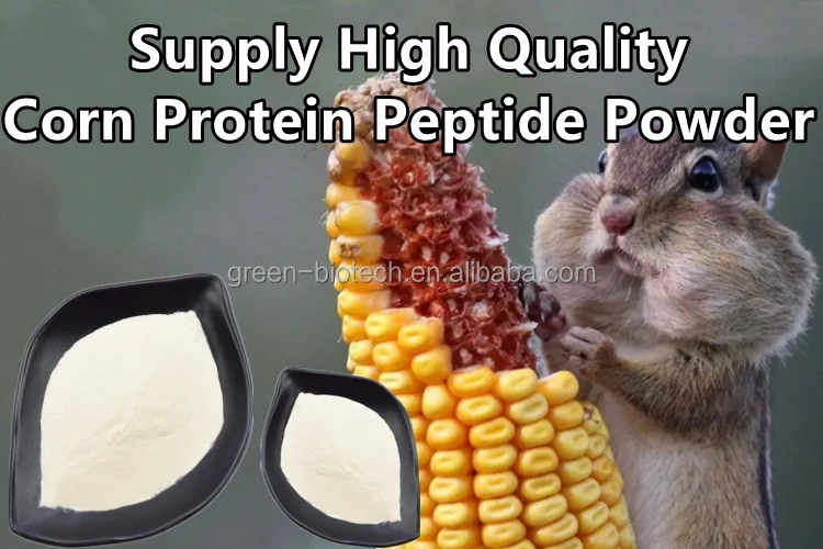 Best Price 100 Pure Corn Extract Corn Oligopeptides Powder/maize