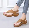 Kaki