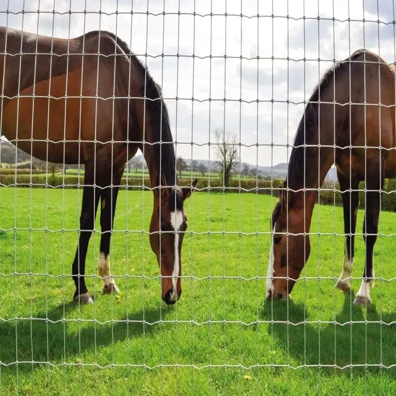 Factory Price Dipped Galvanized Metal Fence For Grassland Agricultural ...