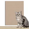 Khaki (self-adhesive)