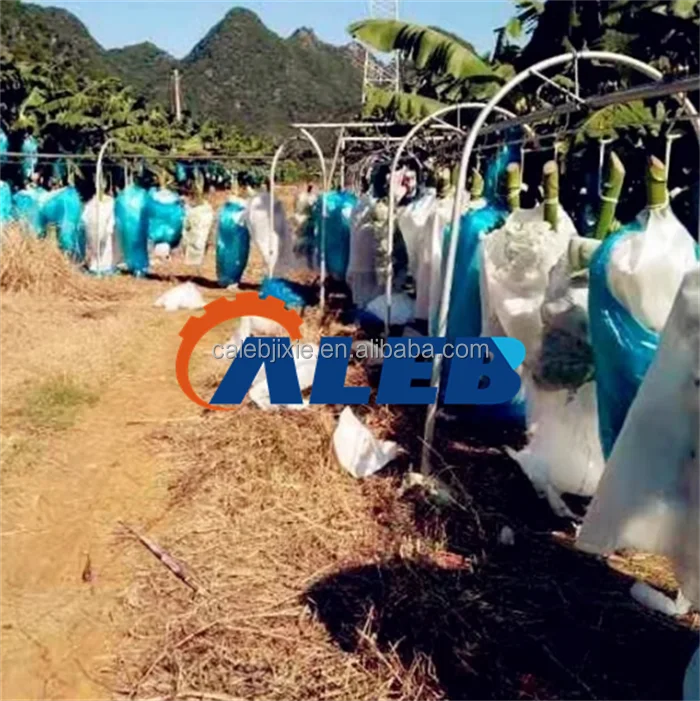 High Productivity Banana Rail Conveyor - Efficient Transport