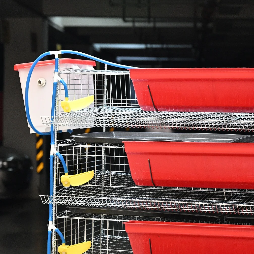 Poultry Quail Layer Cages for Quail Birds Farming Cage for Quail Hens for Egg Production