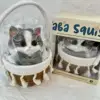 20724-Ragdoll Cat Squishy