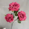 Rose rouge