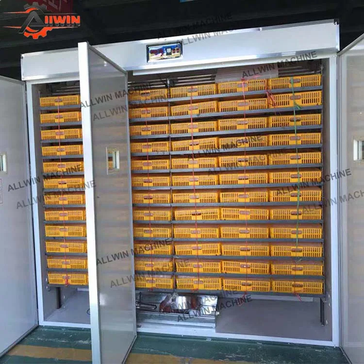 Fully Automatic Farmed Egg Incubator/hatching 1232 Egg/egg Incubator Multifunction Chicken Plucker Machine 2 Hours Automatically