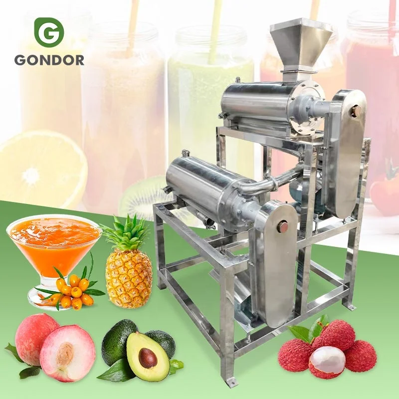 Soursop Grape Mango Fruit Destoner and Pulper Finisher Raspberry Guava Pulp Jam Make Apple Puree Machine