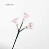August calla lily