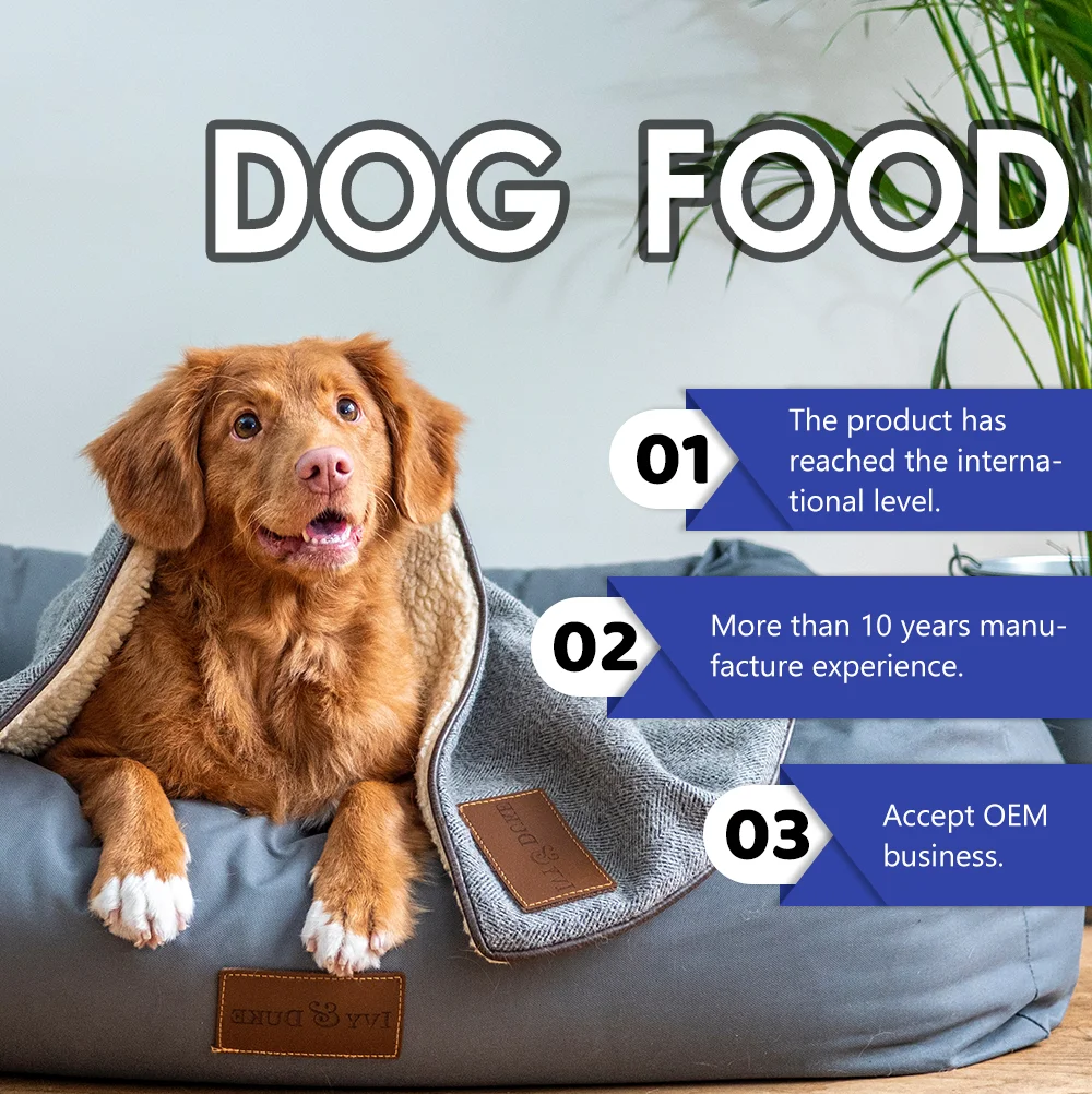 Oem Odm Low Allergic Nutritive Lecithin Added Dry Wholesale Bulk 50kg