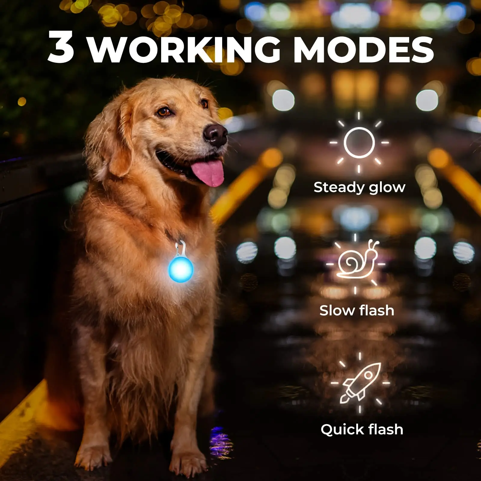 Led Dog Collar Safety Light Clipon Led Dog Tag Light Buy Dog Lights