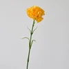 สีส้มสีเหลือง