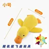 Small duck flying disc-random style