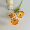 สีส้ม