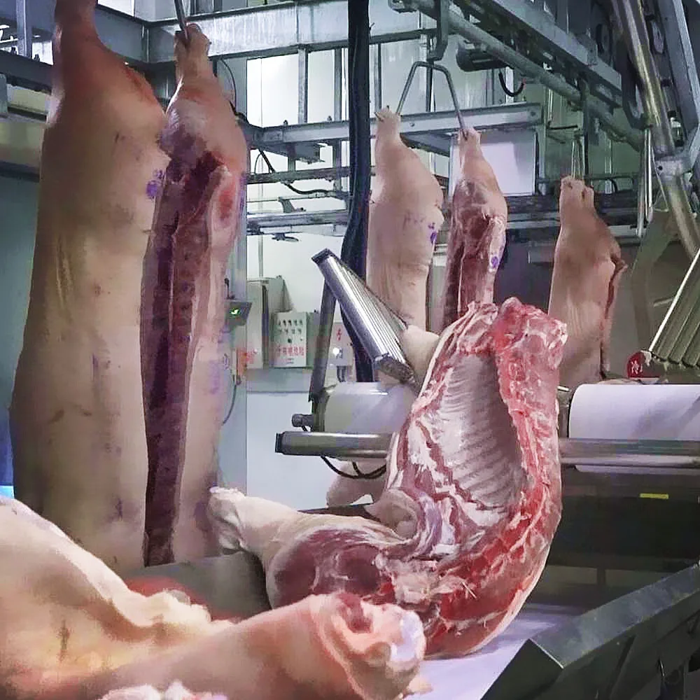 Sow slaughterhouse pig slaughtering equipment pig slaughterhouse production line