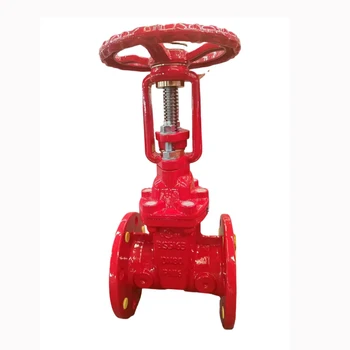 DN100 Cast Iron  Gate Valve Manufacturer