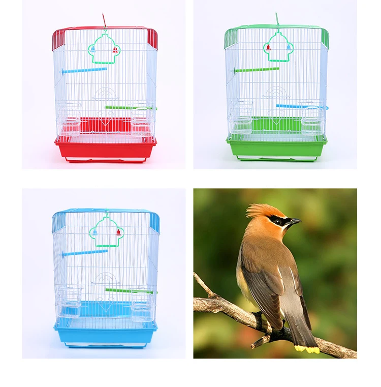 Wholesale Small and Medium Ornamental Bird Cages Parrot