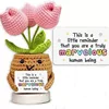 Pink-marvelous-without base