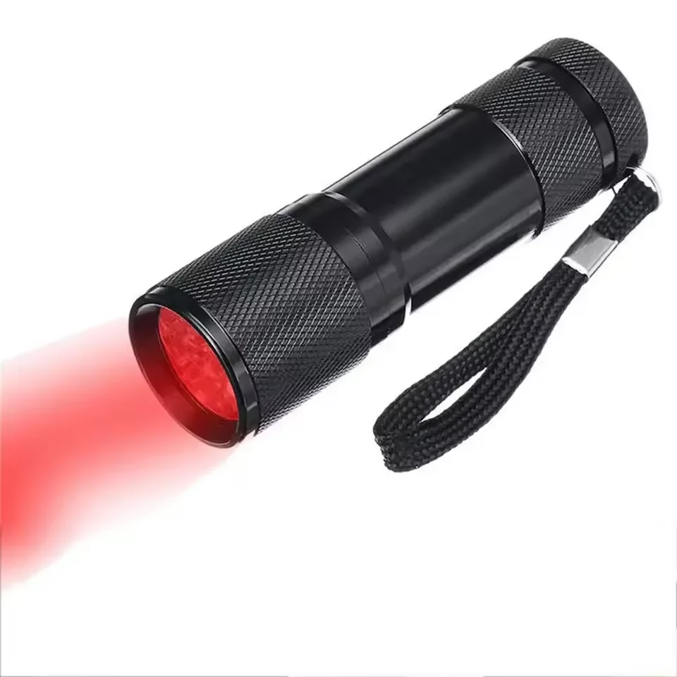Lampe torche LED en aluminium 1W, interrupteur tactique | Leroy Merlin