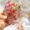 B6 กลมสีสันสดใส