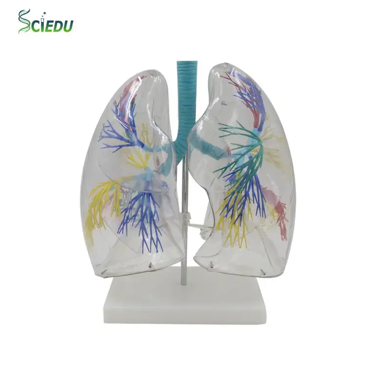 Ảnh sản phẩm chính