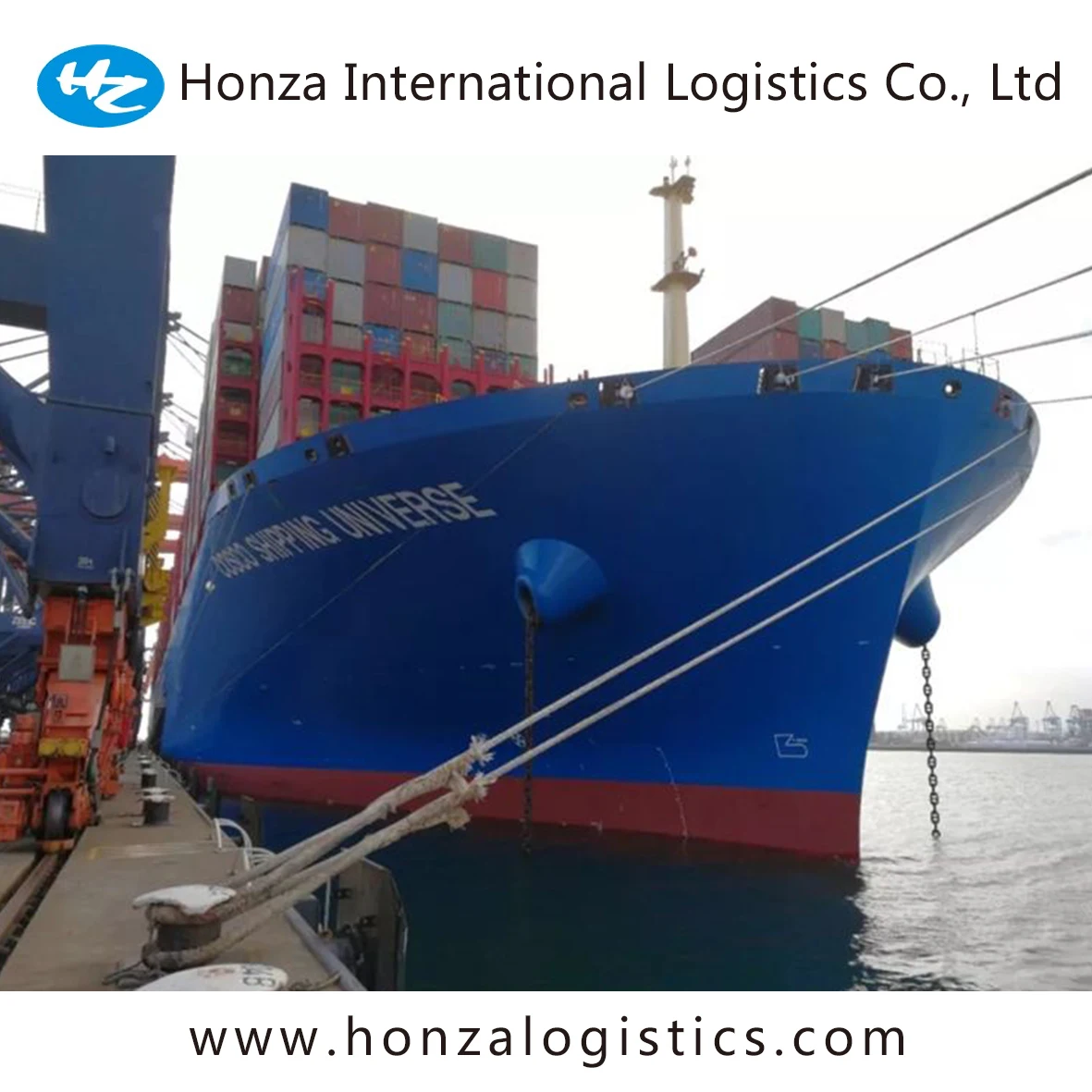 Reliable Sea Freight Forwarder to Pointe Noire From Guangzhou Shanghai Qingdao Tianjin Xiamen to Congo by Sea Shipping