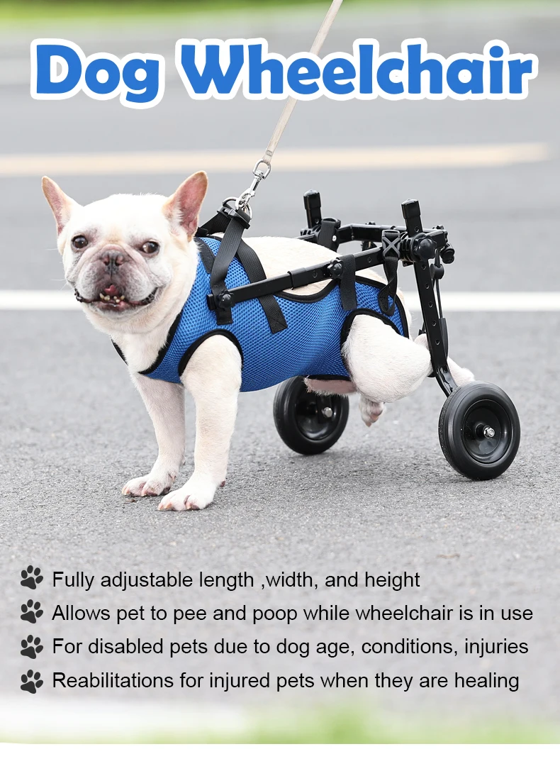 Oem Adjustable 2 Wheels Chair For Handicapped Pet Back Legs Mobility