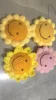 girasole piccolo