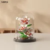 Fleurs d'hibiscus