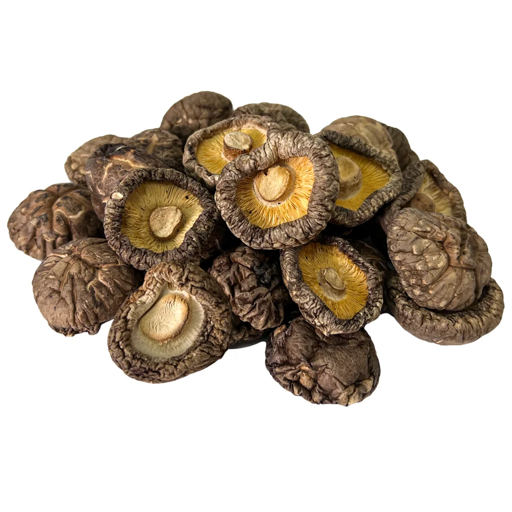 Bulk Edible Magic Mushrooms Dried Shiitake Magic Mushrooms - Buy Dried ...