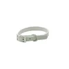 collar grey