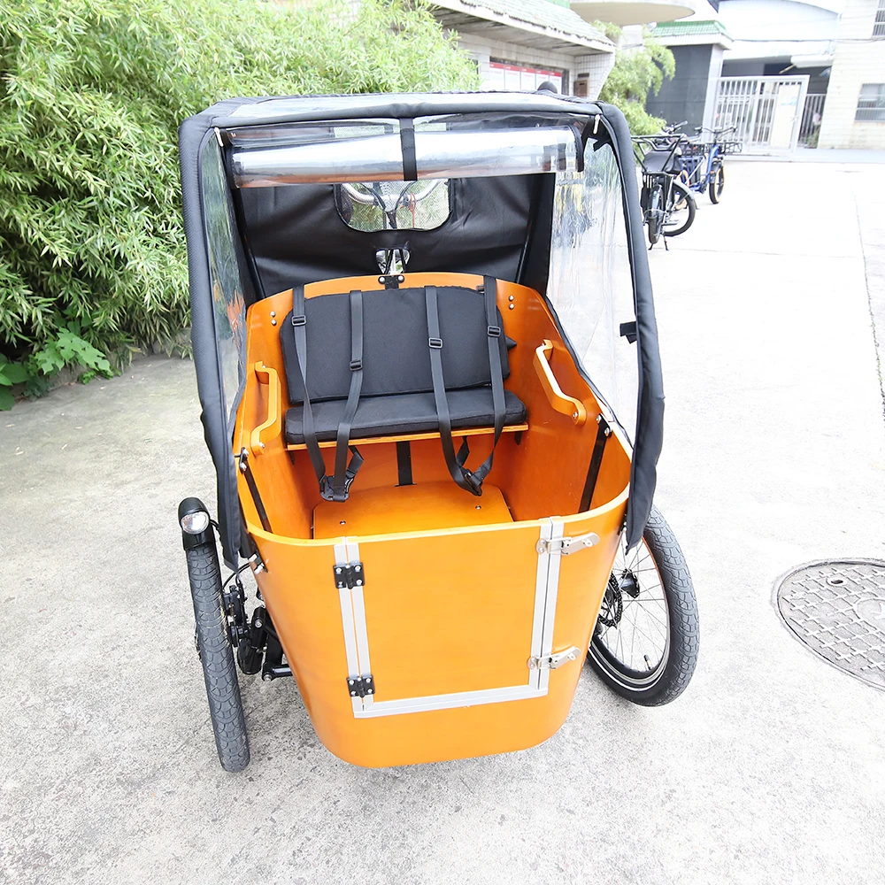 Boxu Customized Cargo Ebike With Carrier Electric Ebike E-cargo Family E Bicycle