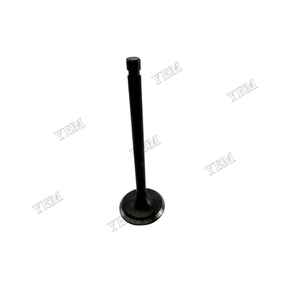 Intake Valve for Nissan H20-2 Diesel Engine Parts 3