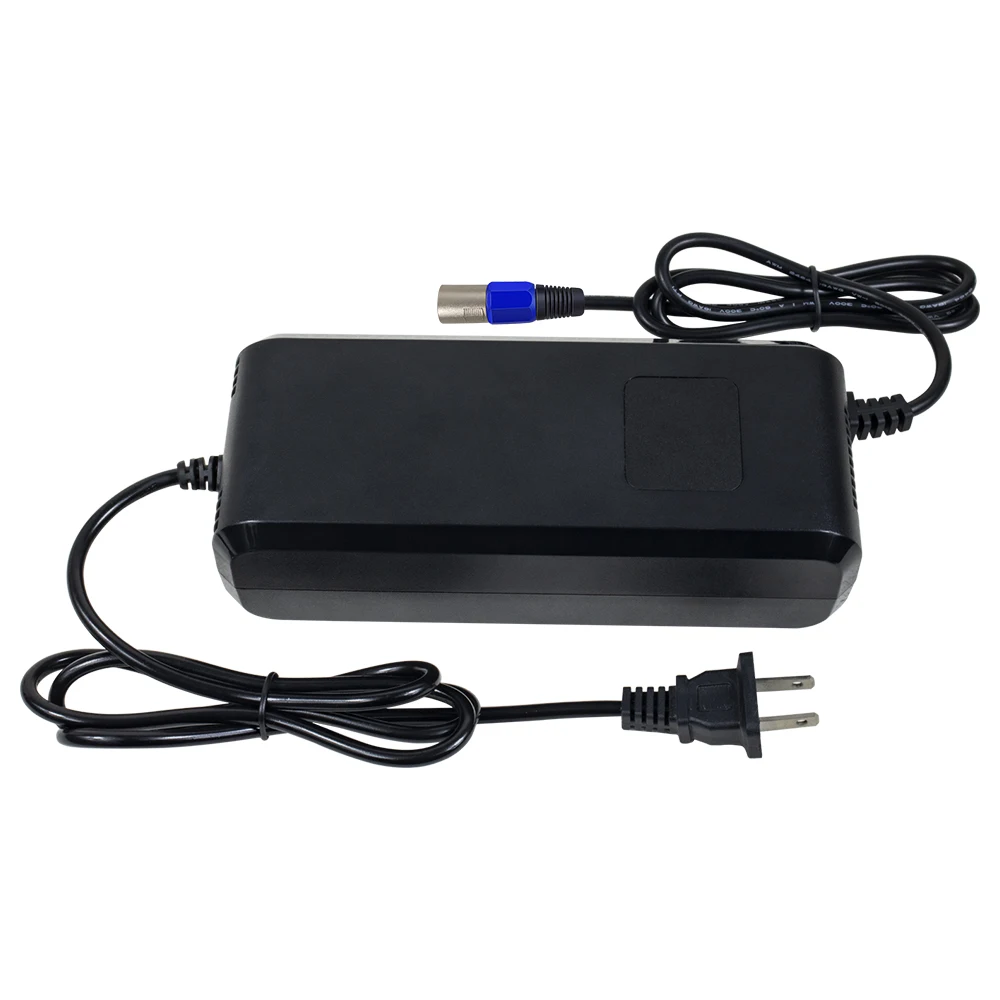MATE BIKE INTERNATIONAL IVS 充電器 YZ270 16.8V 10A DC Electric Port Adapter Charger 100-240V Input