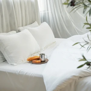 100% Tencel Bedding Sets Organic Fabric Bed Sheet Sets Soft Pillowcase Set with Summer Quilt