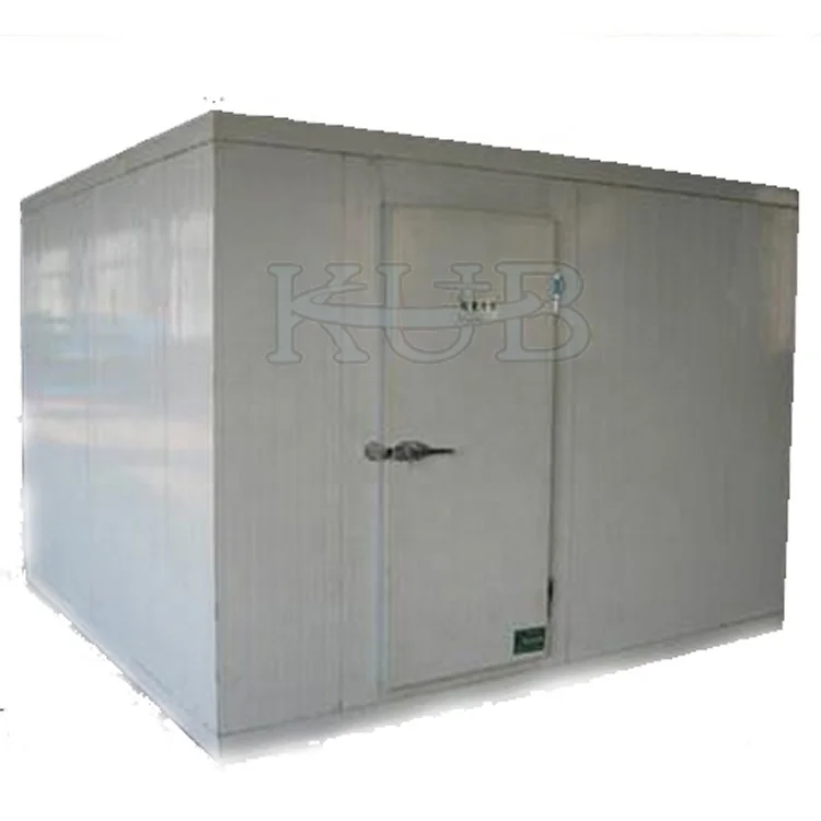 Minus 18 Degrees Centigrade 13 Cubic Meters Frozen Cold Room for Meat and Fish Storage
