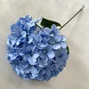 Azul claro