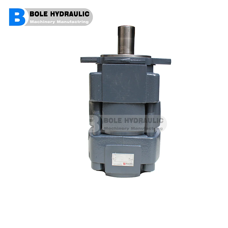QT83-250R Gear Pump - Durable & Efficient Industrial Solution