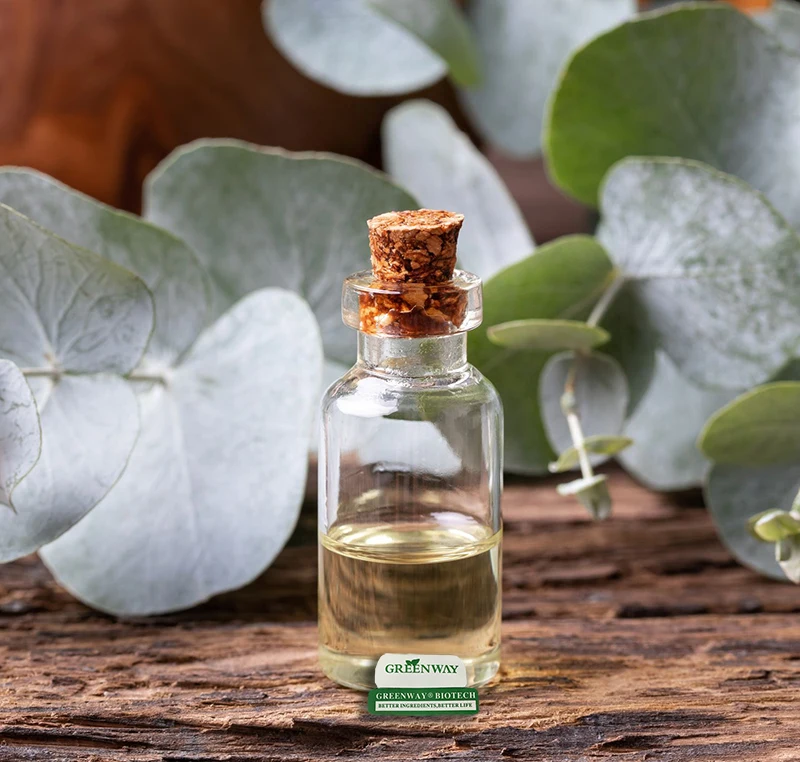 pure eucalyptus oil