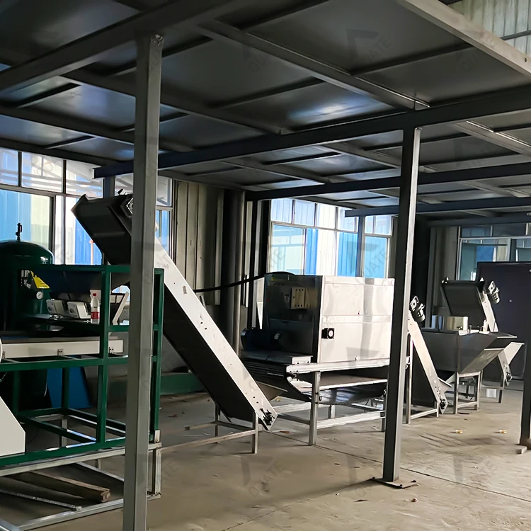 Fully Automatic Garlic Processing Line Garlic Clove Separator Machine Garlic Cleaning Machine