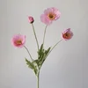 Rosa Chiaro