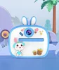 AM300 Fotocamera Blue Rabbit