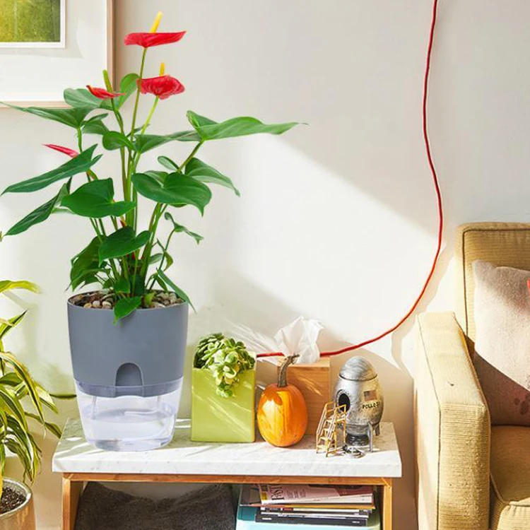Selbstbewässernder Blumentopf – Automatische Bewässerung Mit Wasserspeicher | Für Sukkulenten, Aloe Vera & Mehr