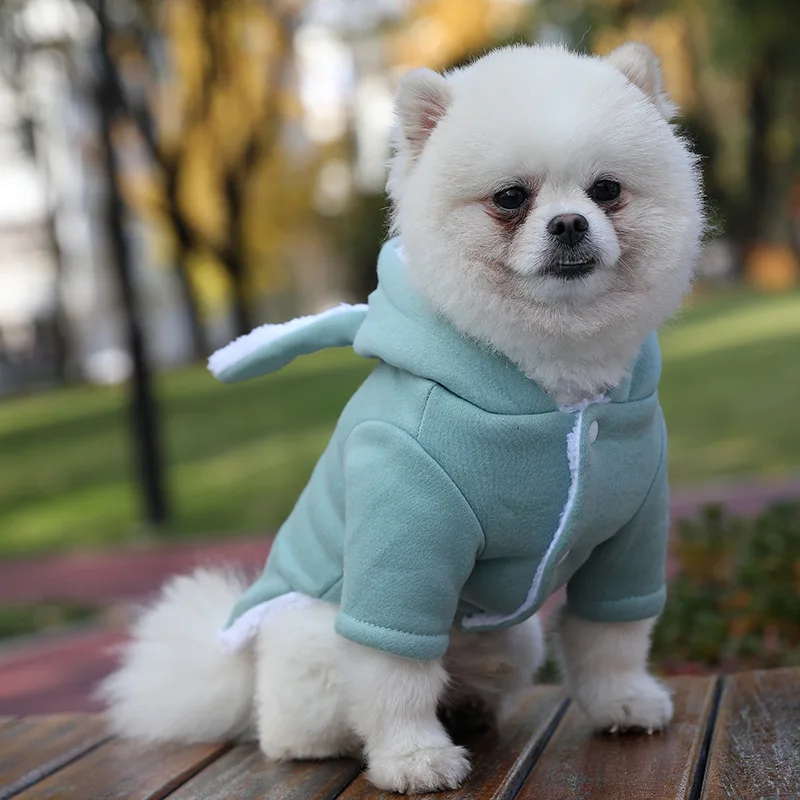 pomeranian winter clothes