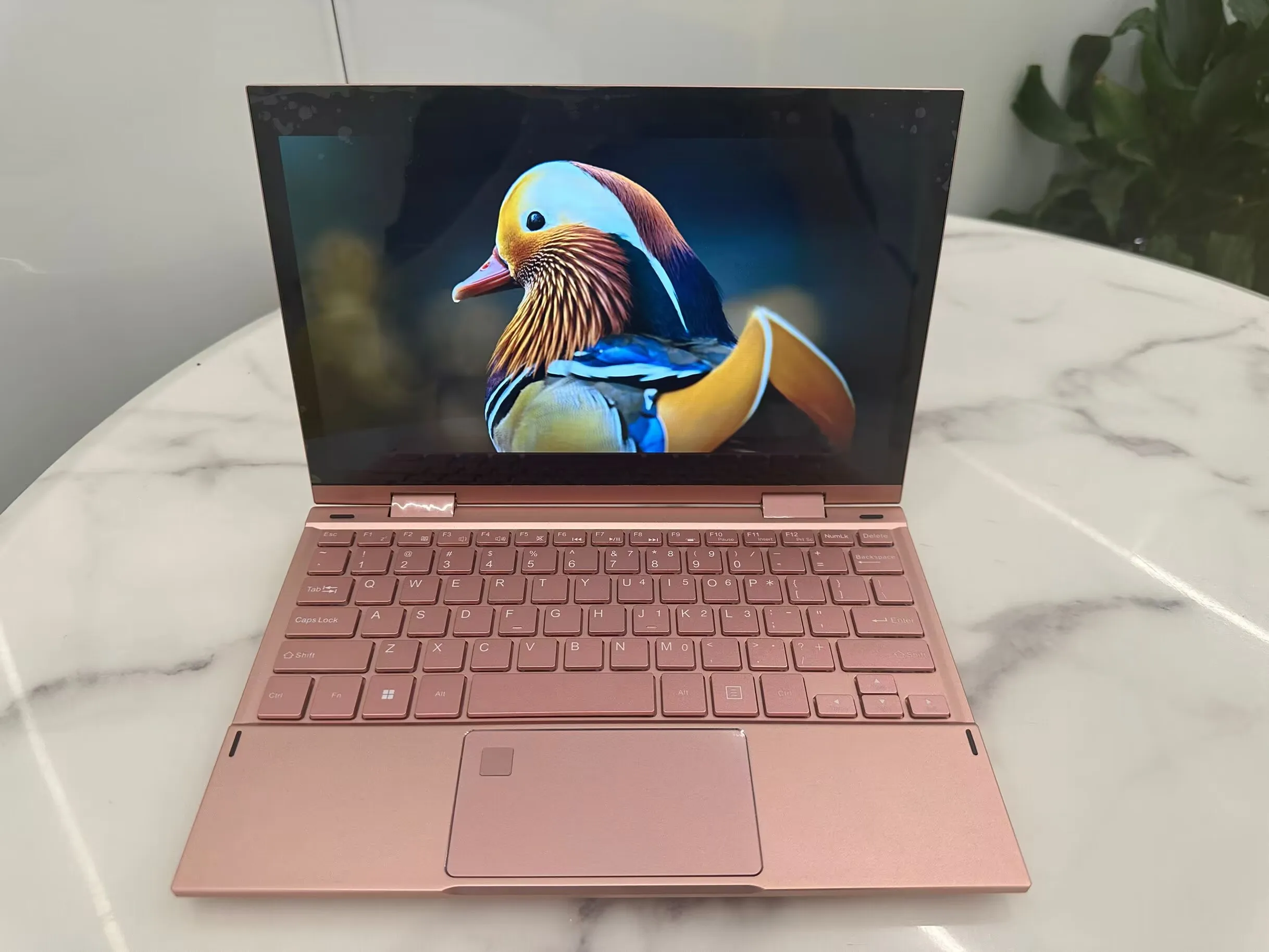 Wholesale Pink Laptop 15.6