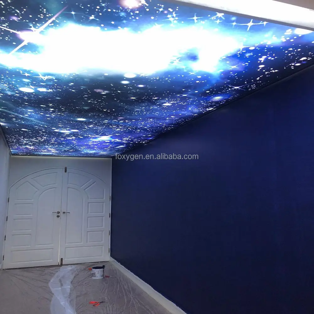 Bed Room Ceiling Decor Night Sky With Star Designs Led Fiber Optic