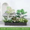 hc-Y80-33 es adecuado para jardineras de 80 cm.