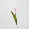 Keer Tulipe (rose)
