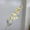 Champagne color